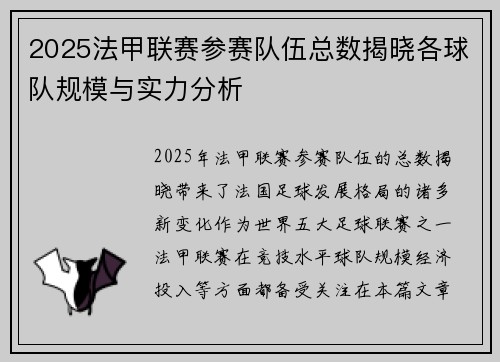 2025法甲联赛参赛队伍总数揭晓各球队规模与实力分析