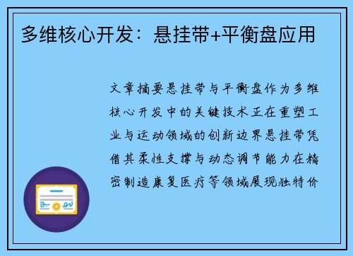 多维核心开发：悬挂带+平衡盘应用